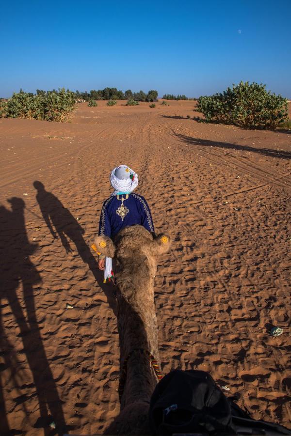 Sahara Stories Camp 