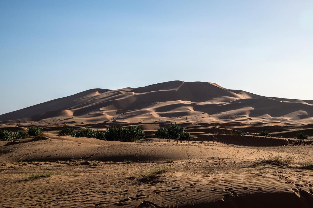 Sahara Stories Camp 